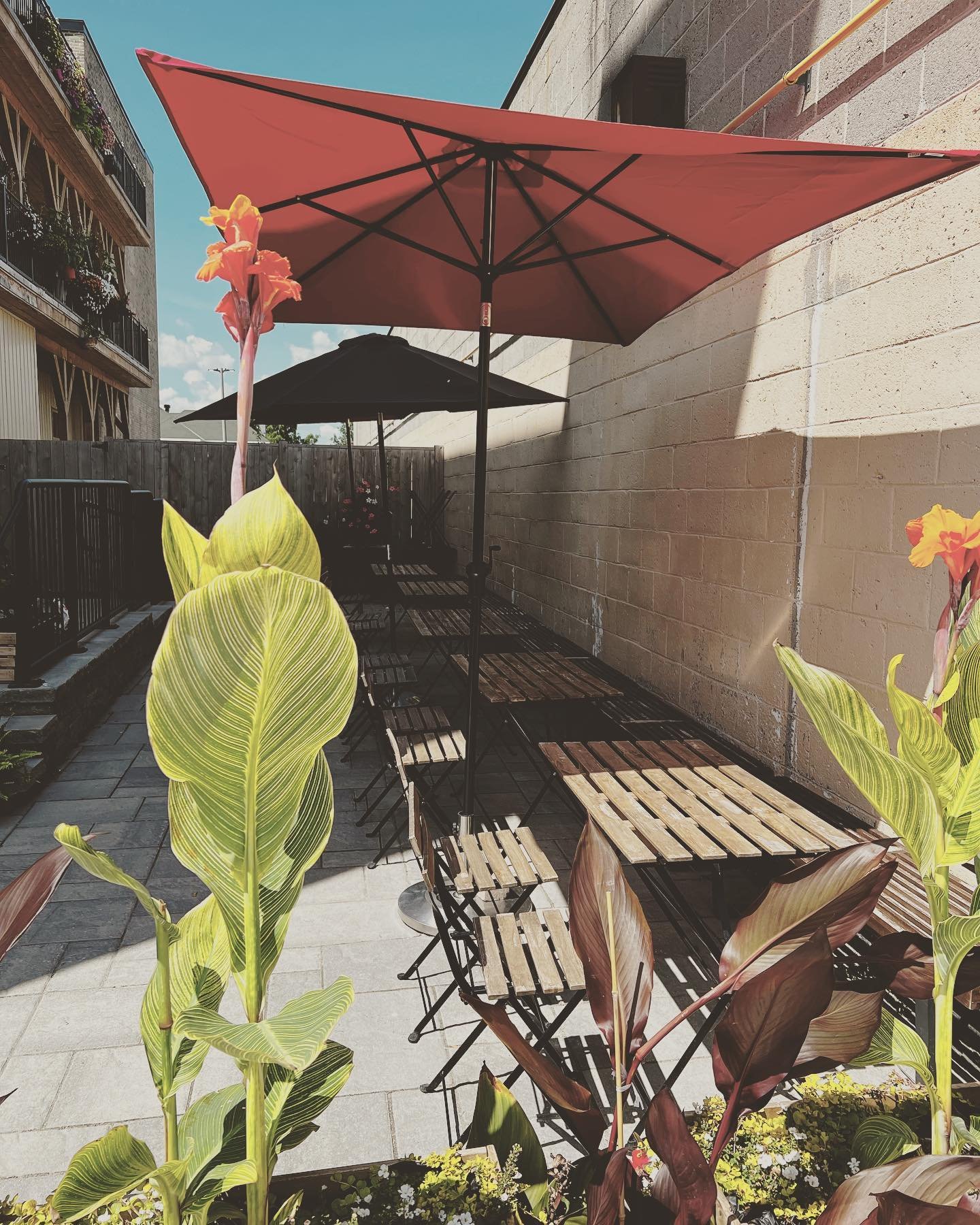 Patio season has arrived!  The patio is open, ready and waiting for you and don't forget, it's pet friendly for your leashed and friendly puppers so you don't have to leave Fido behind 🦮

(and yeah, these are last year's flowers but it'll soon be lo