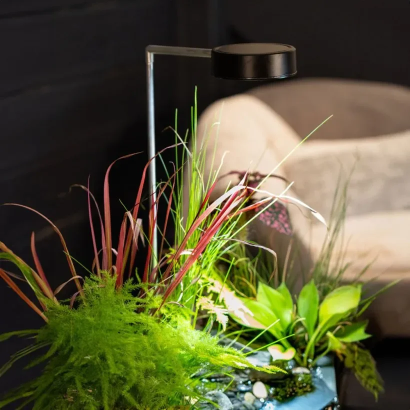 Aquagarden-plant-light-1-820x820.webp