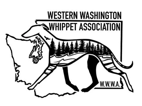 wwwa.jpg