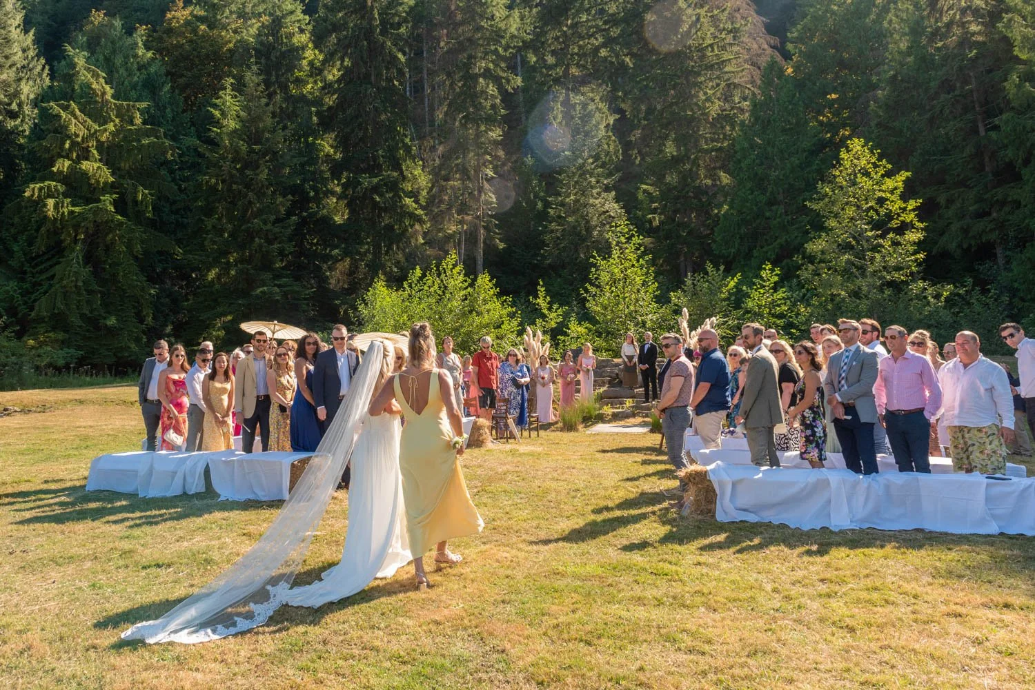 Getting Married on Salt Spring Island: A Complete Guide