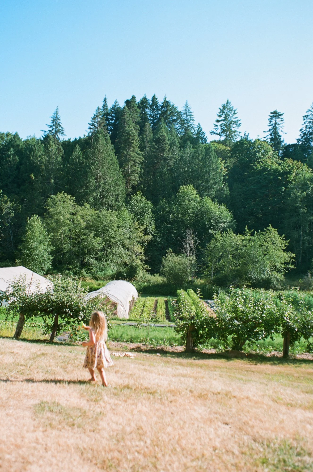 BCWeddingphotographer-97.jpg