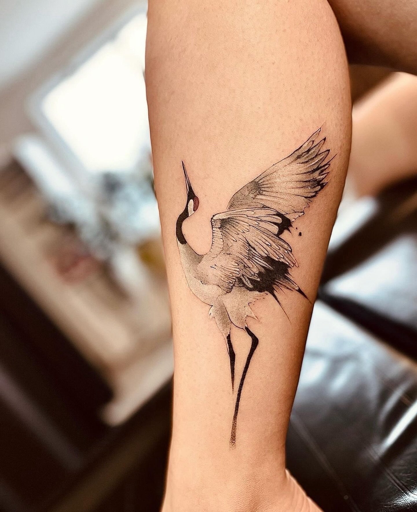 Sumi style crane 🐦
Artist: @n1co_tattoo 
________________________________________________
[At Off the Ground Ink, we bring your tattoo ideas to life! 💭 For bookings and inquiries, reach out to us by email at offthegroundink@gmail.com]
.
.
.
.
.
#ta