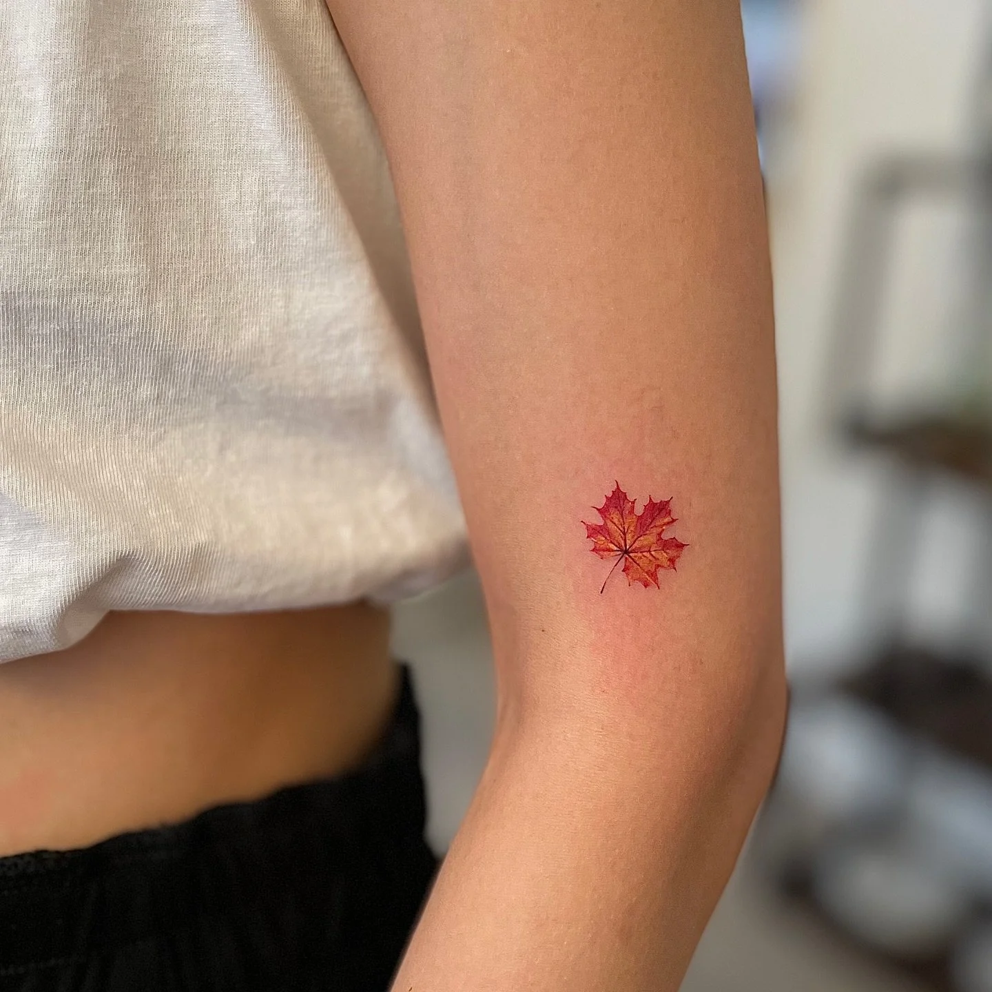 This what autumn feels like 🍁 
Artist: @n1co_tattoo 
________________________________________________
[At Off the Ground Ink, we bring your tattoo ideas to life! 💭 For bookings and inquiries, reach out to us by email at offthegroundink@gmail.com]