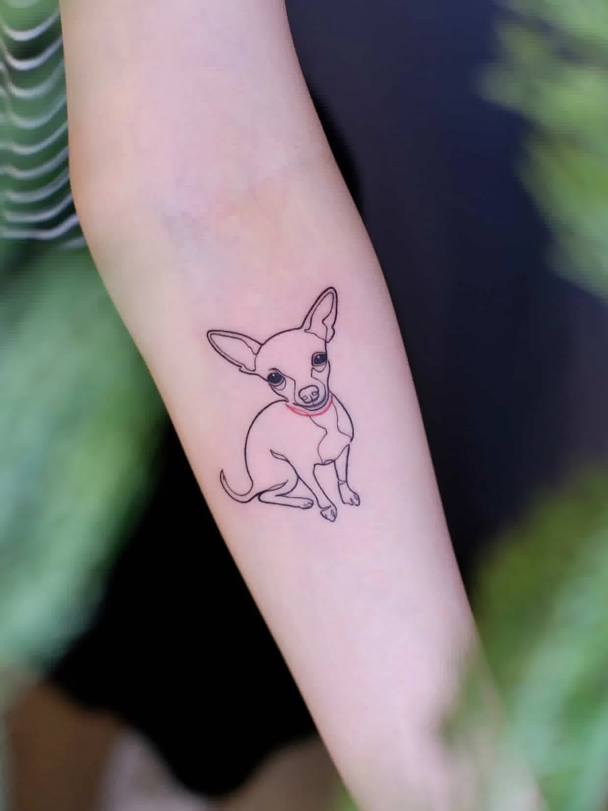 One line style Chihuahua 🐕 
Artist: @tszching.tattoo 
________________________________________________
[At Off the Ground Ink, we bring your tattoo ideas to life! 💭 For bookings and inquiries, reach out to us by email at offthegroundink@gmail.com]