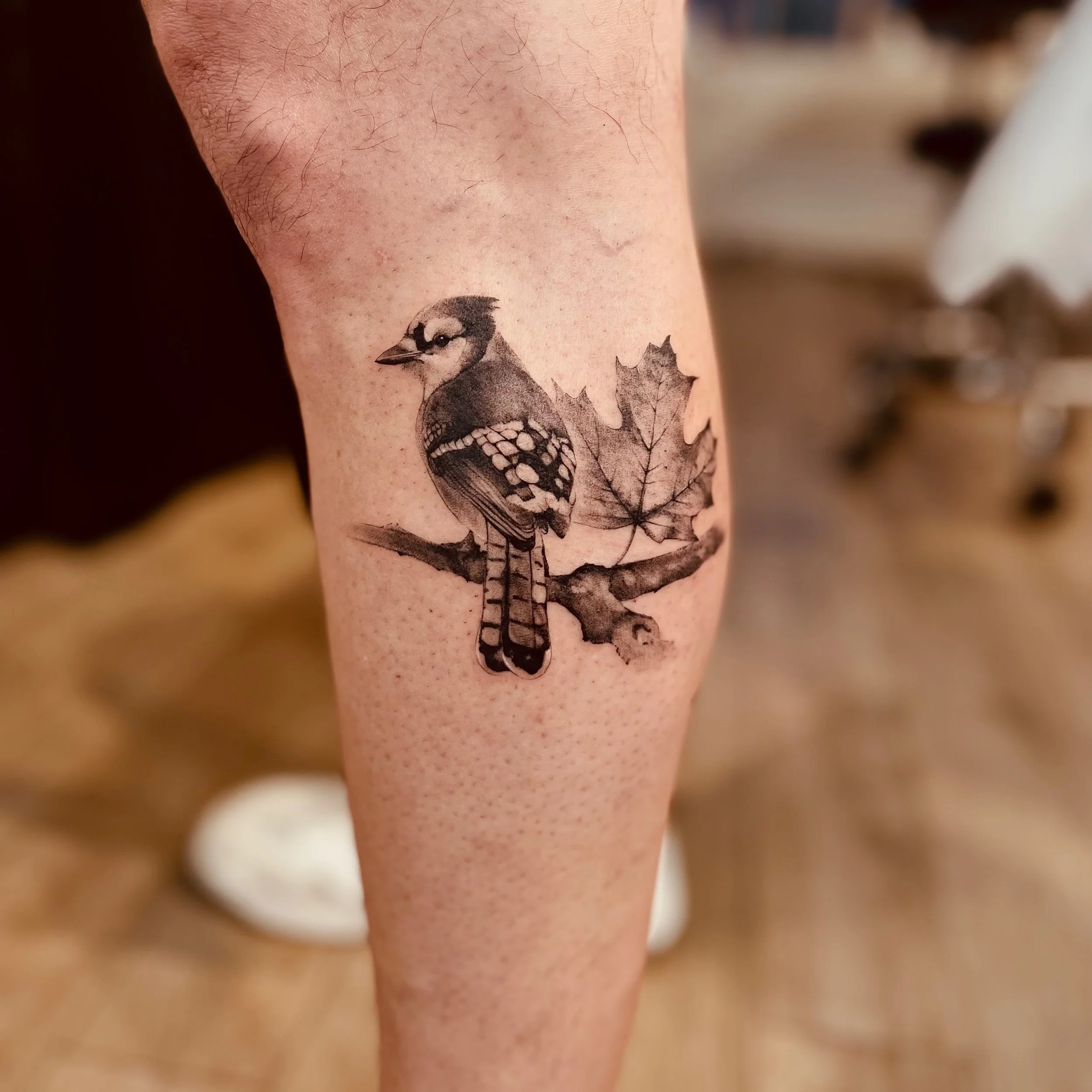 Blue Jay 🍁
Done by @n1co_tattoo 
#snaketattoo #brushtattoo 
&mdash;&mdash;&mdash;&mdash;&mdash;&mdash;&mdash;&mdash;&mdash;&mdash;&mdash;&mdash;&mdash;&mdash;&mdash;&mdash;
It&rsquo;s more than just ink&mdash;it&rsquo;s a memory you carry forever.Ge
