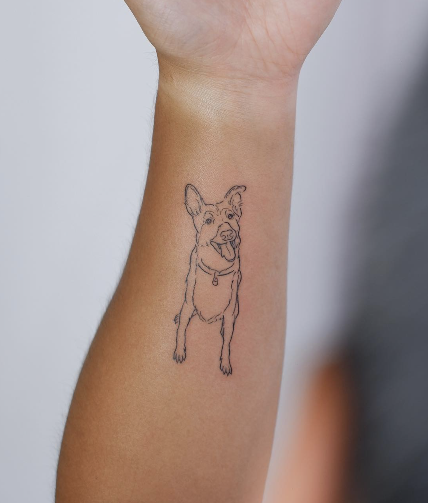 Minimalist dog tattoo on forearm