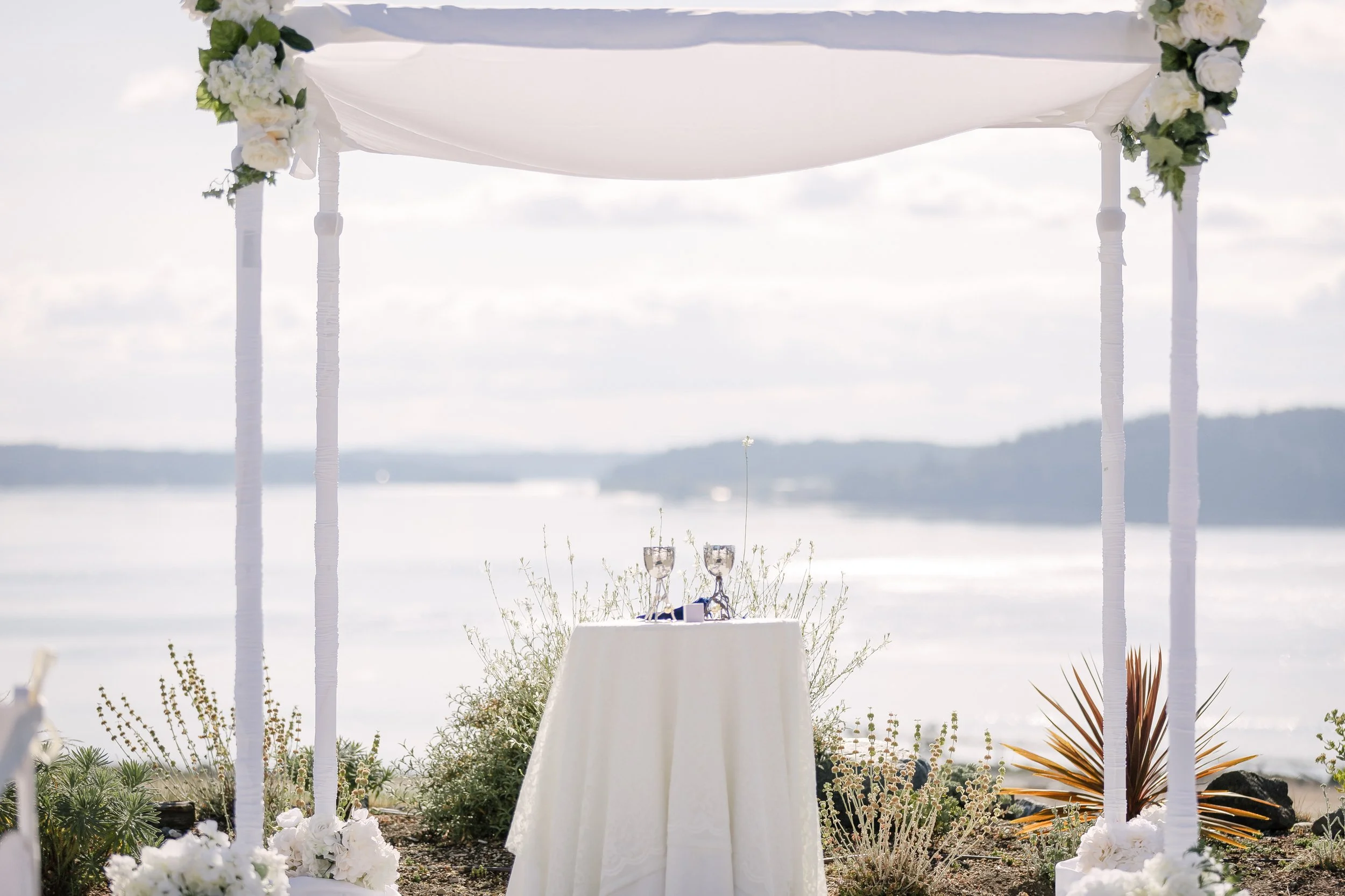 chambers-bay-wedding-venue-photographer-antonio-zaribi-A&C-450.jpg
