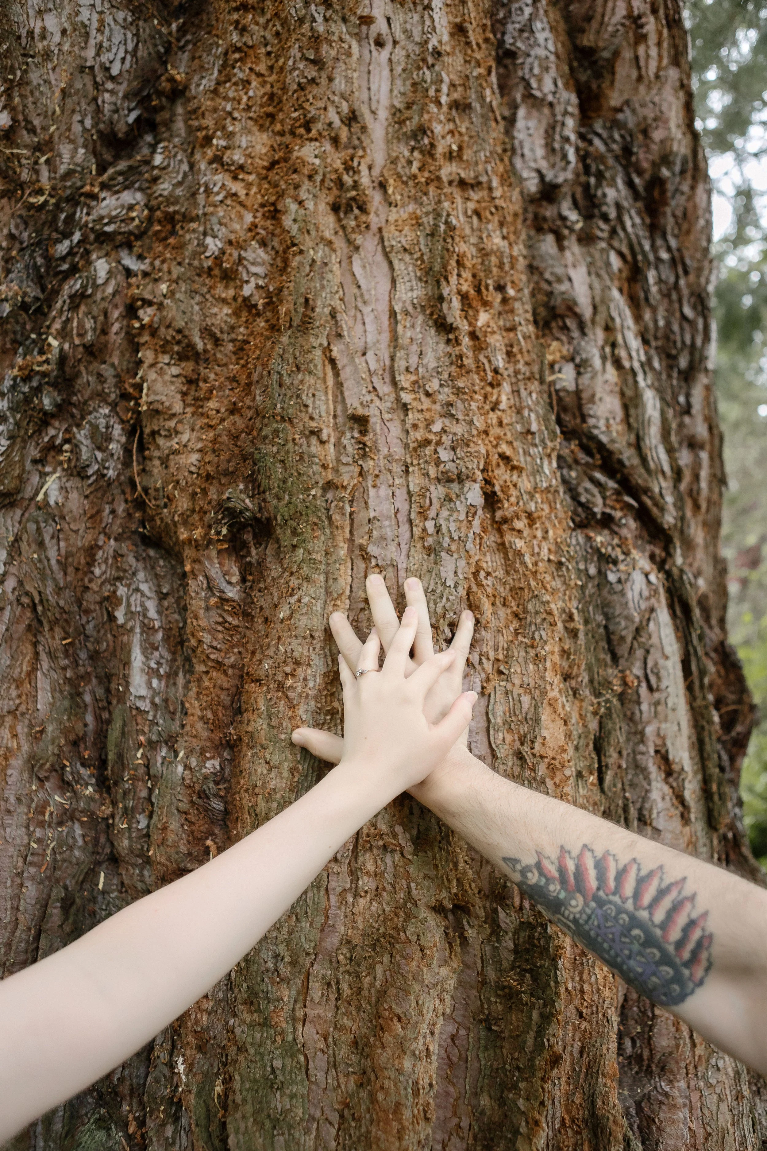 meerkerk-gardens-engagement-session-whidbey-island-antonio-zaribi-J&S.jpg-95.jpg