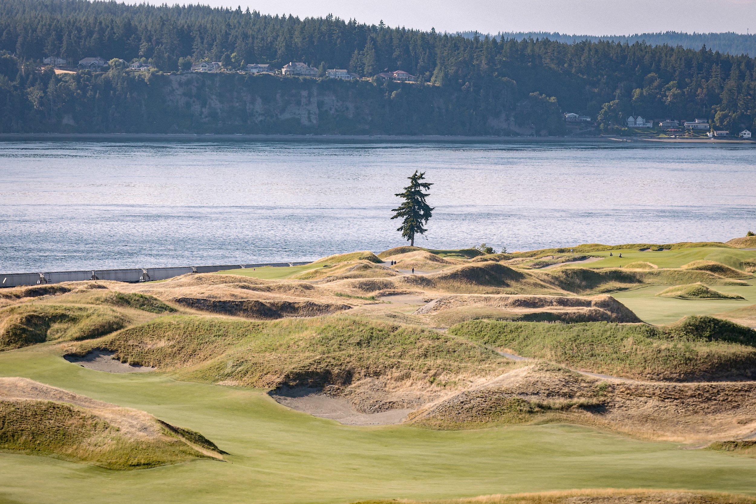 Chambers Bay Wedding Venue in University Place