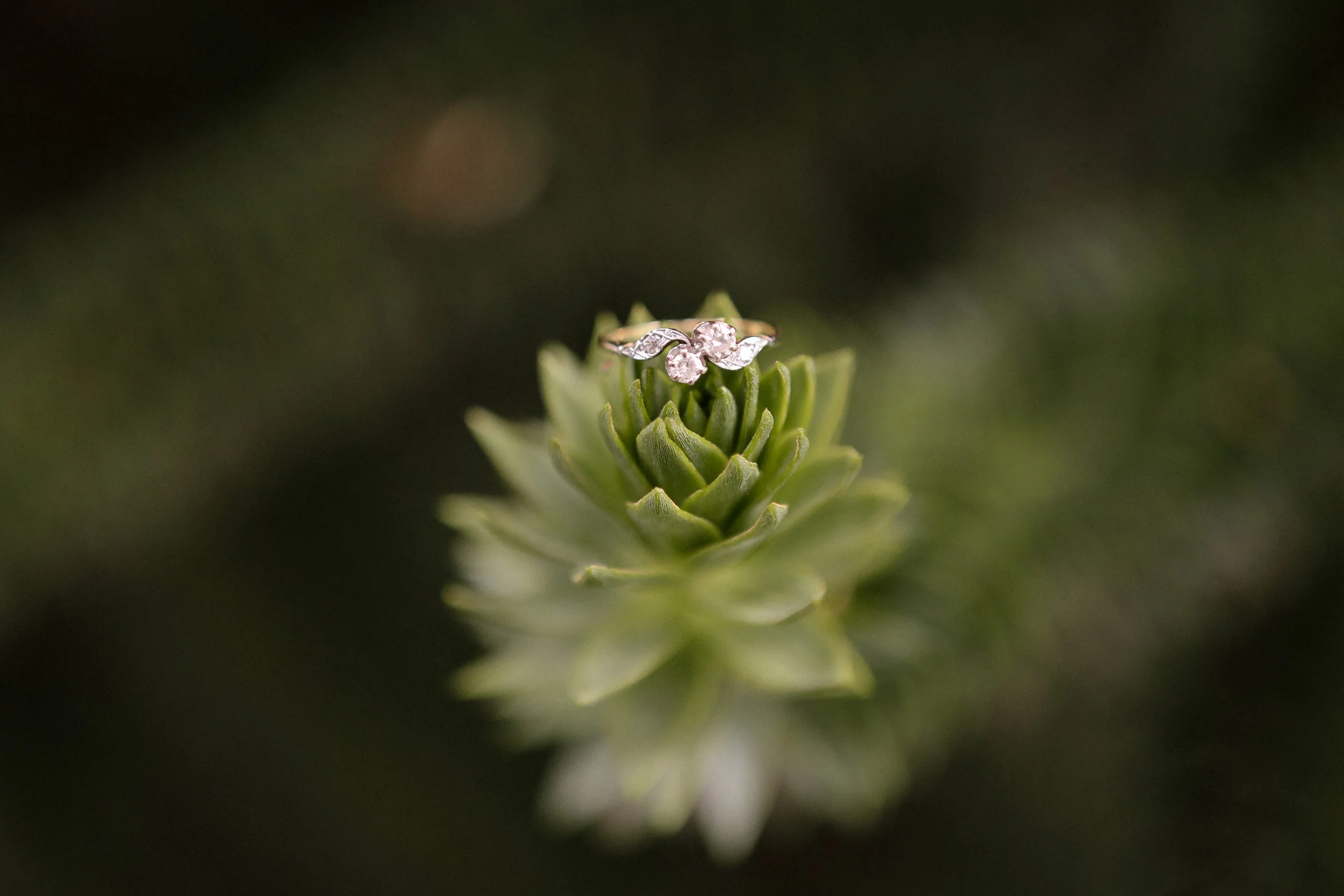 Engagement ring Meerkerk Gardens