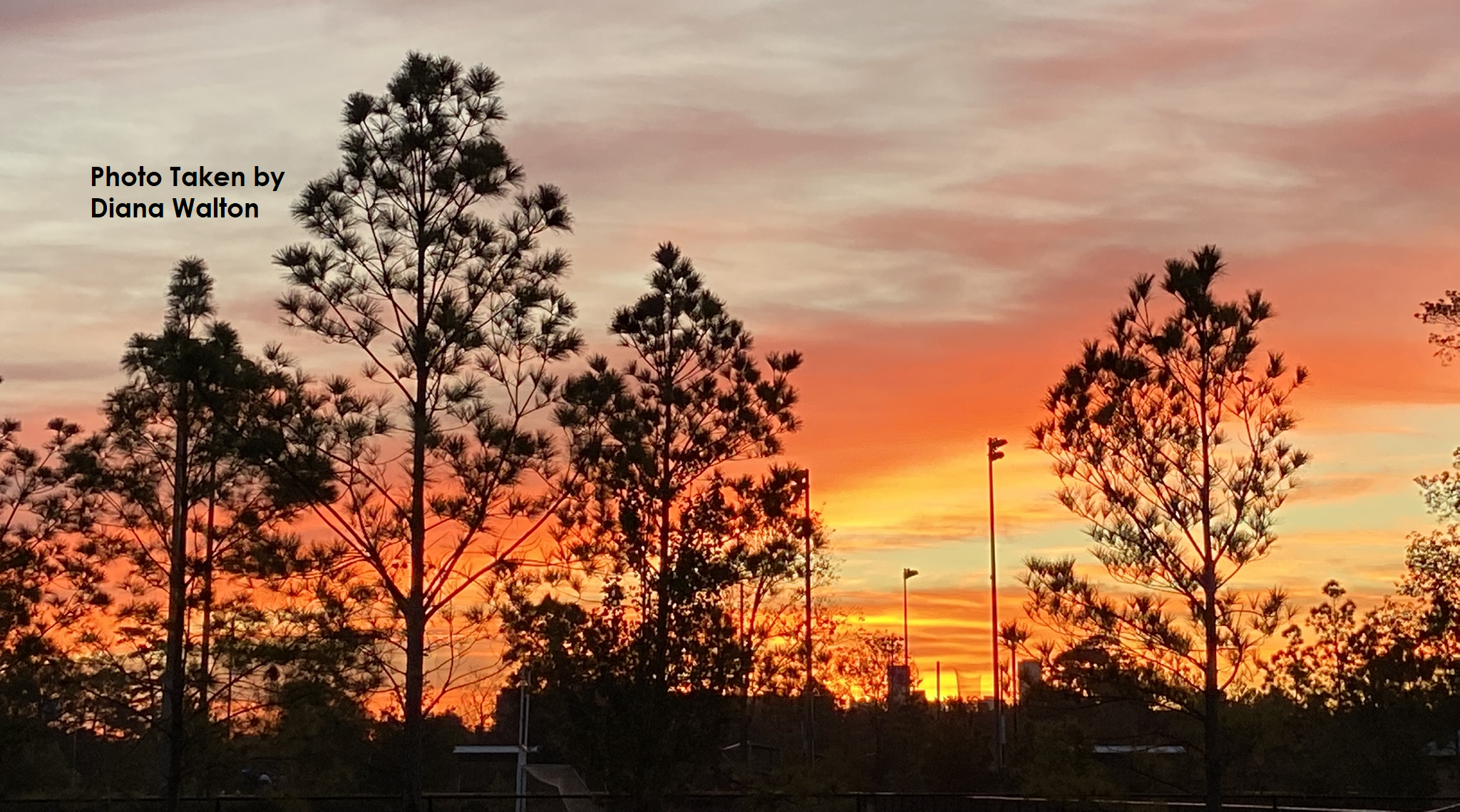 Houston Living - Houston This Morning