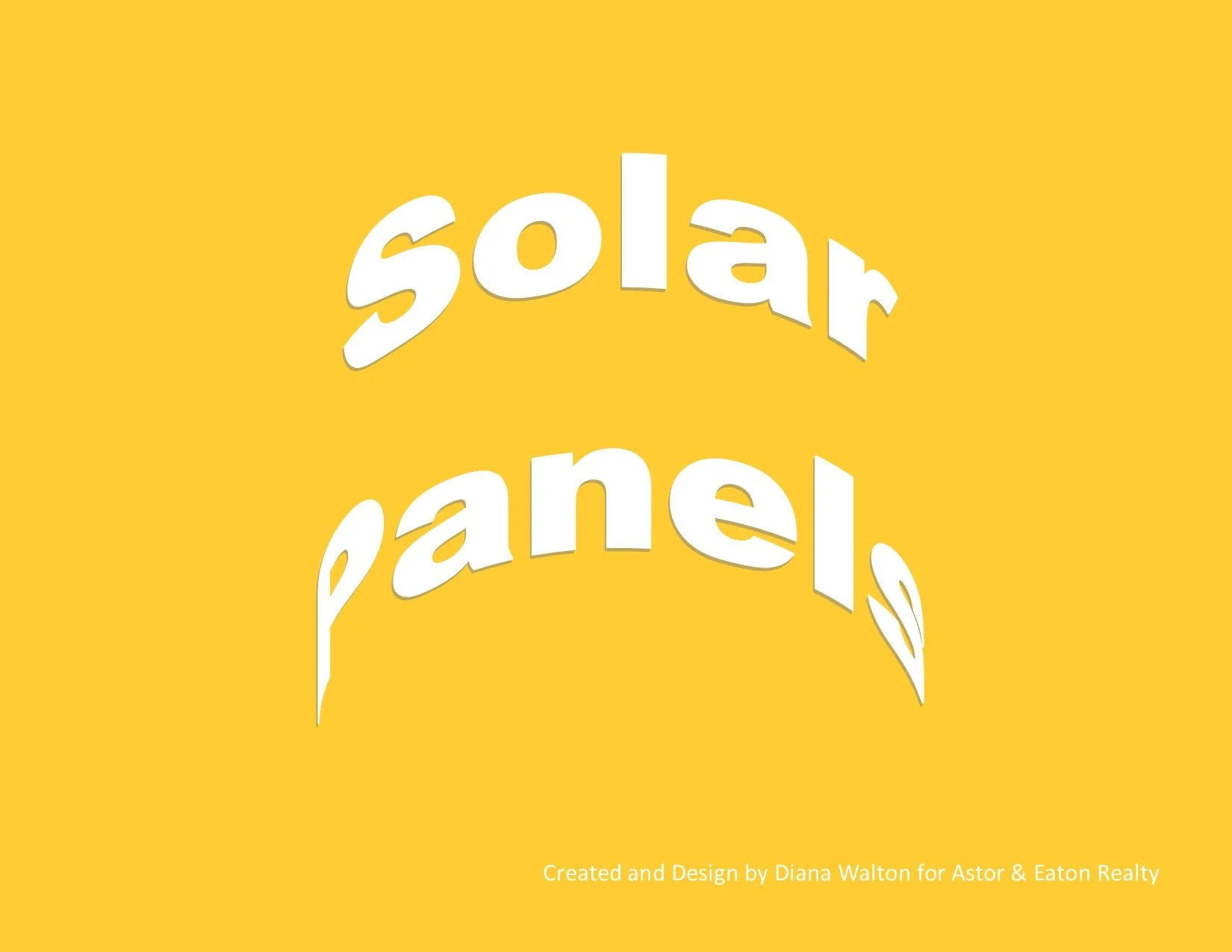 10 Things Houston First Time Home Buyers Should Know About Buying a Home With Solar Panel