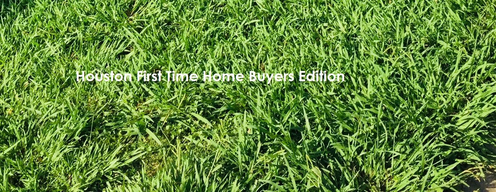 How Often Should I Fertilize My Lawn?