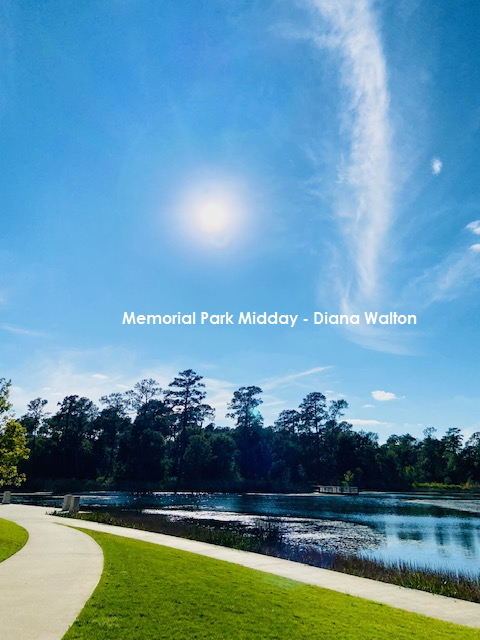 14 of the Most Amazing Parks Around Houston