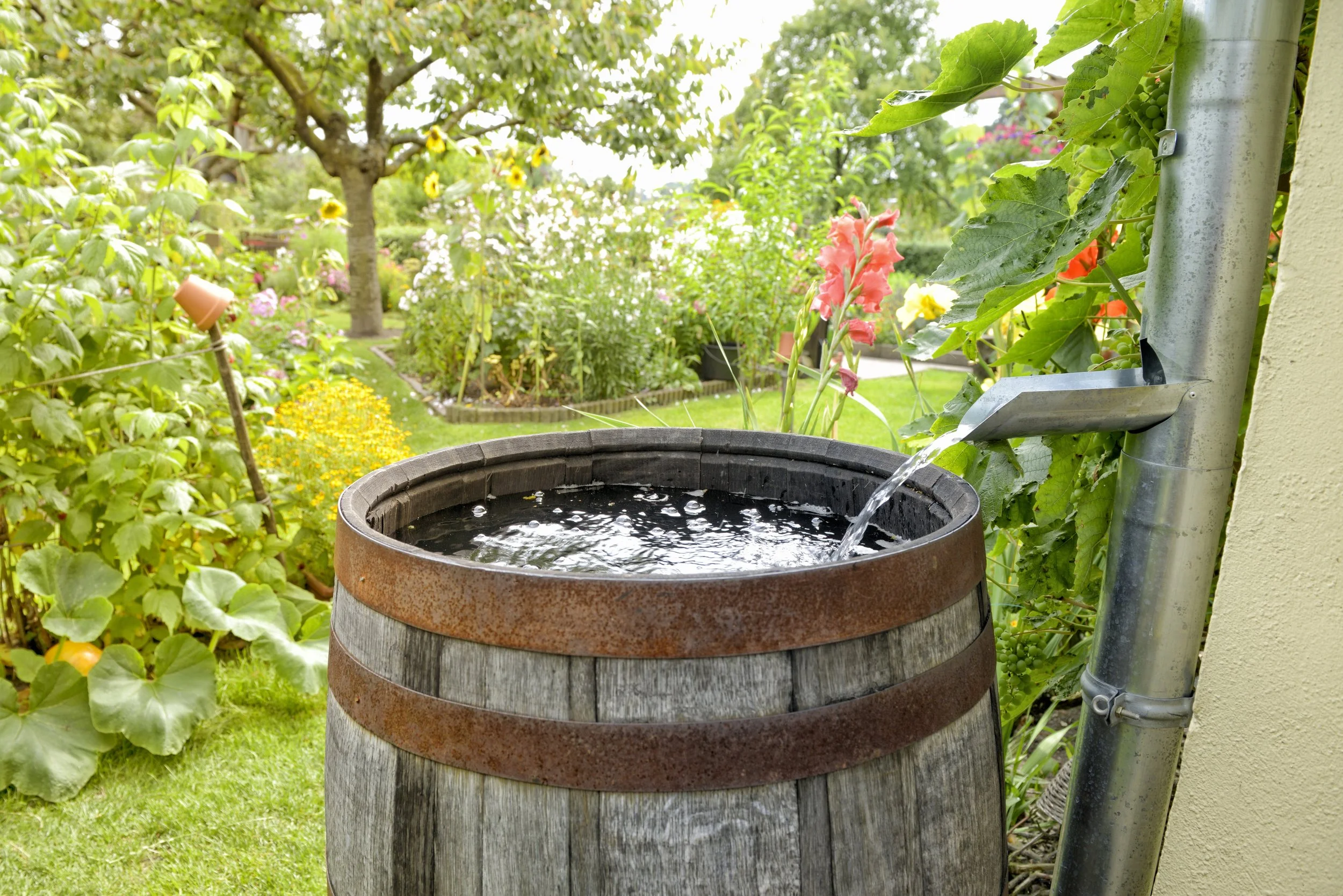 5 Benefits Houston First Time Home Buyers Can Get From Owning Rain Barrels