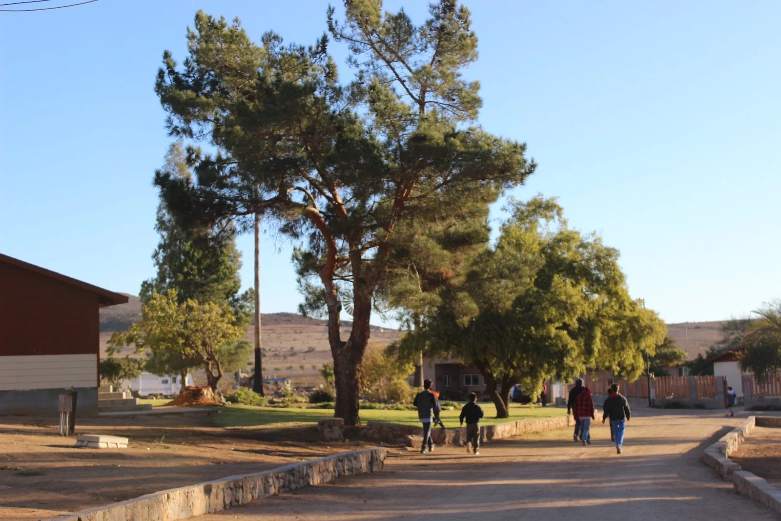 Group of children walking down the road