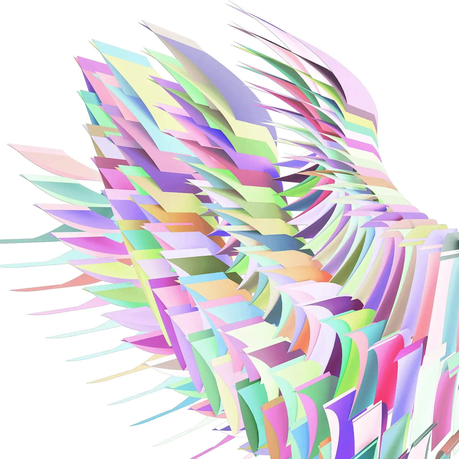 [ Patternful Field No. 3 ] FANCY PANTS