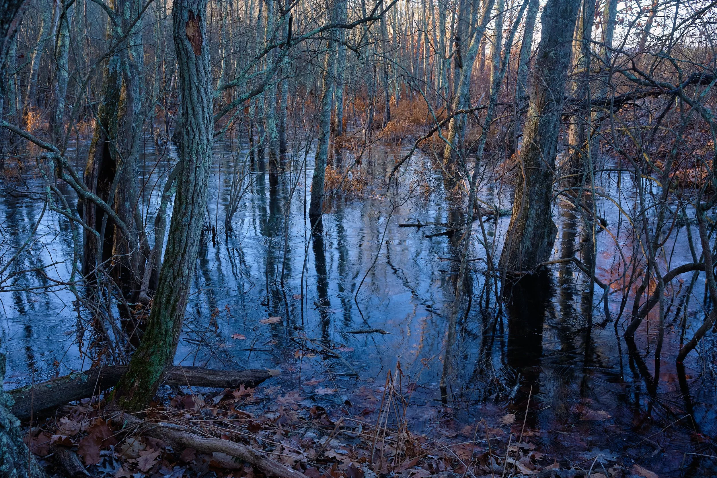 DSCF6555.jpg