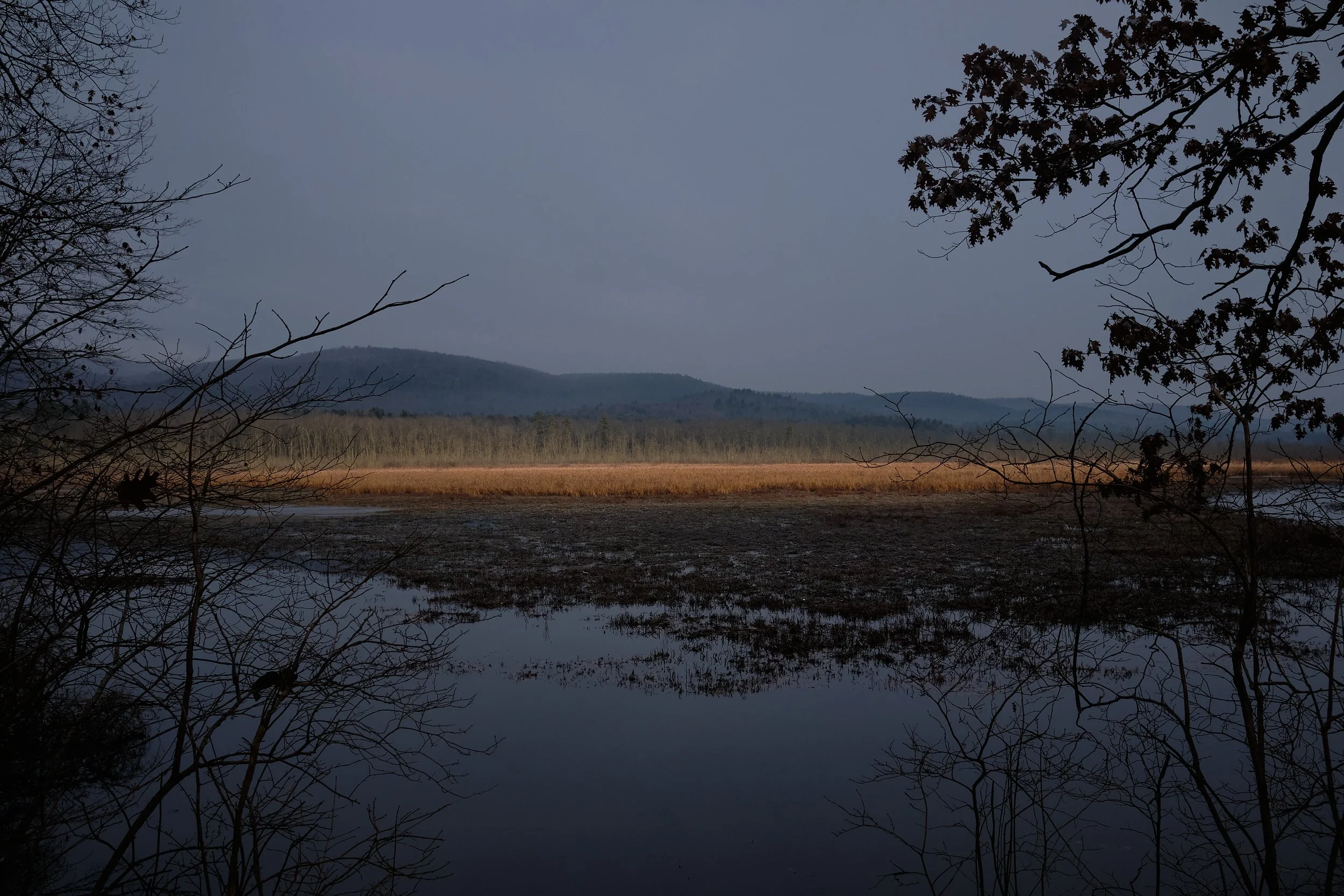 DSCF6449.jpg