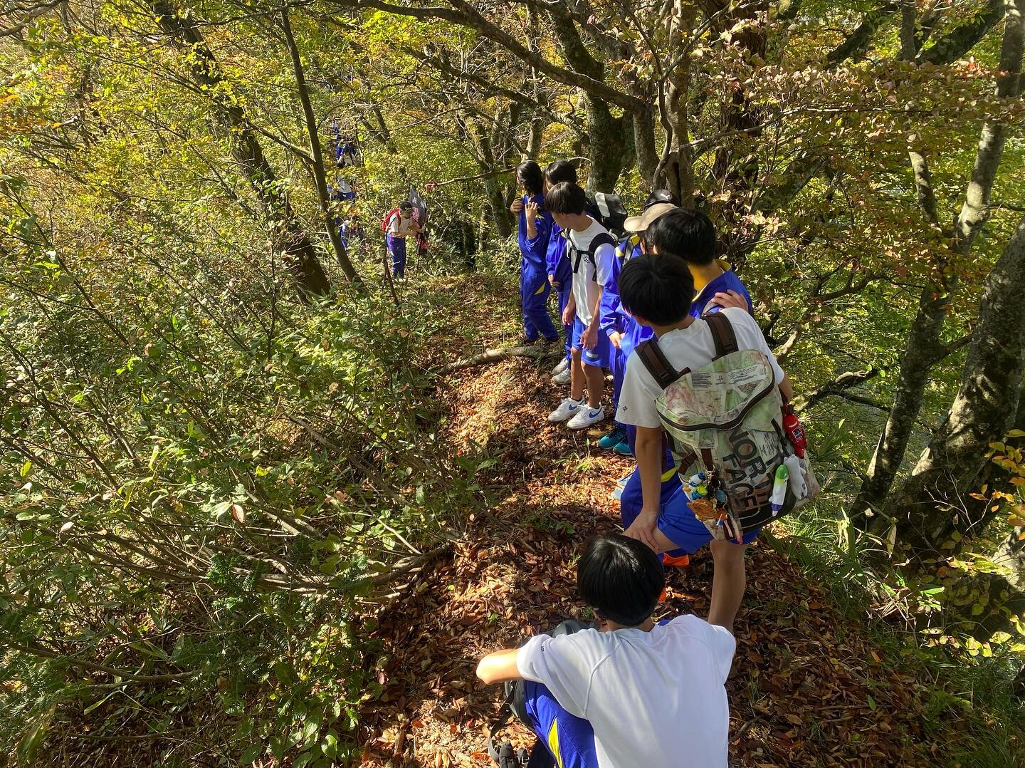 【秋晴れのなか植林活動実施🍁】
十日町市立松代中学校&times;越後まつだい春の陣トレイルラン連携活動として、紅葉狩りハイキング&amp;植林イベントを実施しました！
ハイキングコースは大会コースの最初の5km⛰️スタート地点であるまつだい「農舞台」をスタートしてゴールであるやぶこざきキャンプ場まで、皆んなで元気に歩きました！

雨天が多い10月でしたが、今日は雲ひとつない快晴☀️尾根を上がりきった見晴らし場所まで出ると、「すごい絶景ー！」の声！本日のハイキングで自分たちが暮らす里山に素晴ら