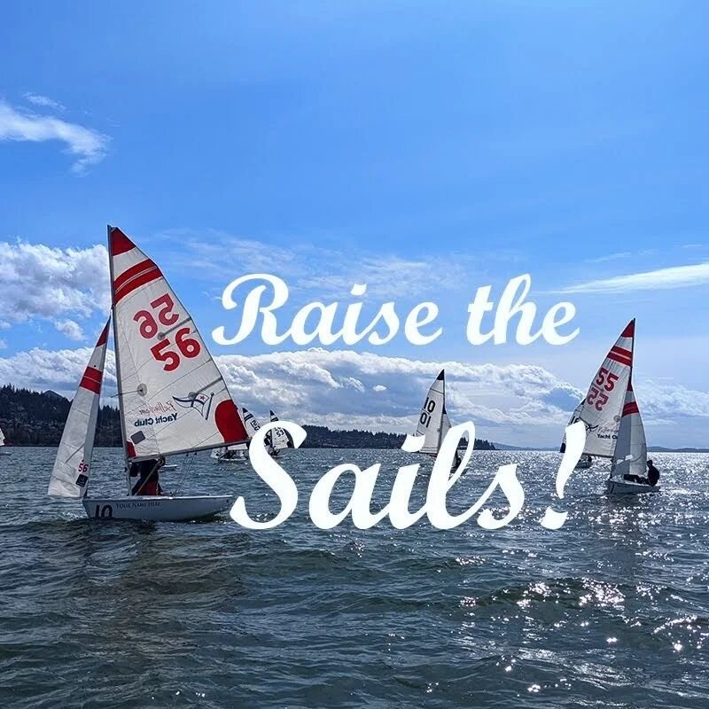 Help Whatcom Sailing raise money for new sails! Link to donate in the profile.