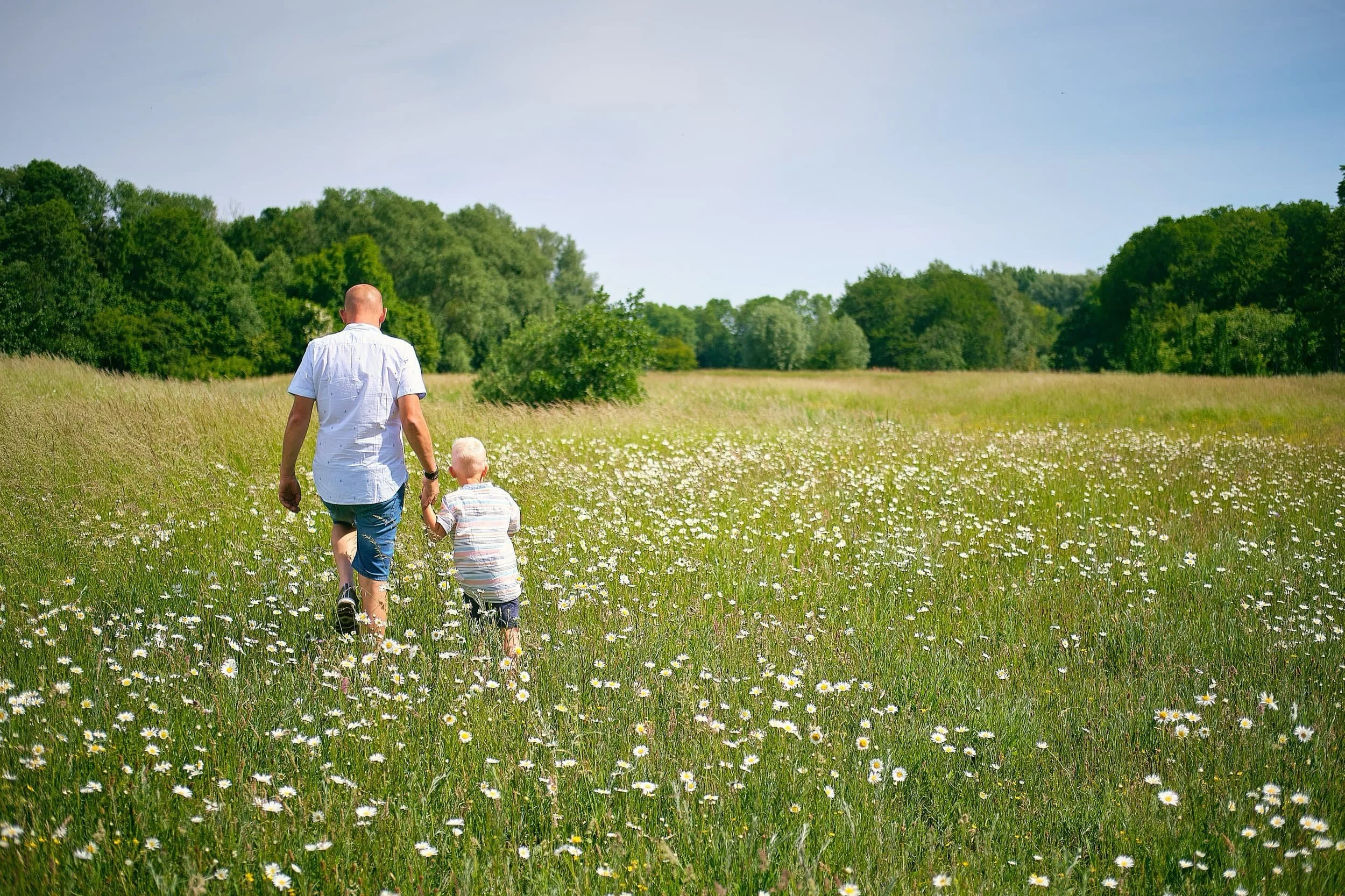 Vader en zoon hand in hand in bloemenveld, zomersfeer familieshoot