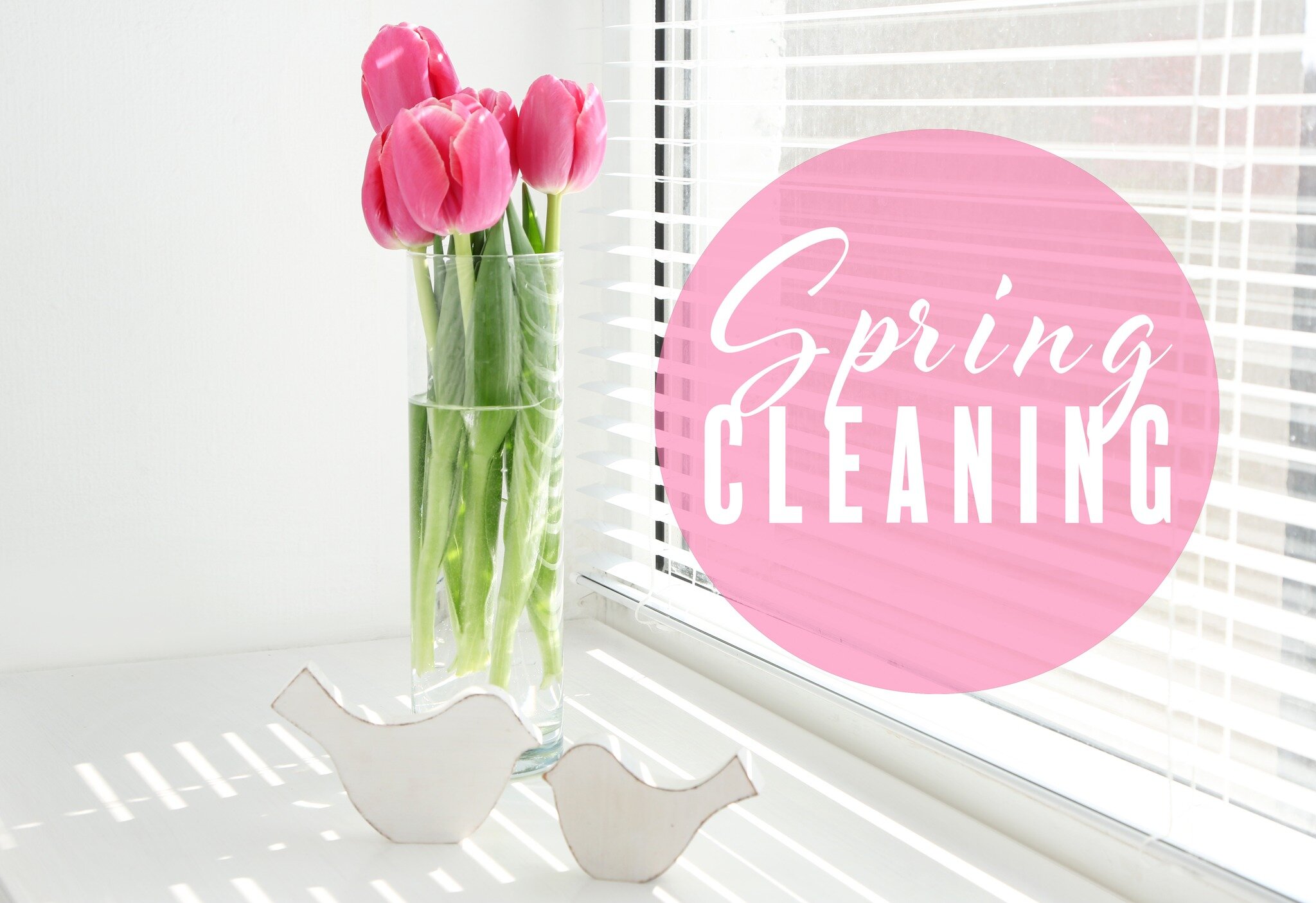🌼🏠 Spring into a Fresh Start with The Sleek Easy Clean! 🌷✨

At The Sleek Easy Clean, we know how important it is to give your home or office a good spring clean. Our team makes sure everything is spick and span, leaving your space feeling fresh an