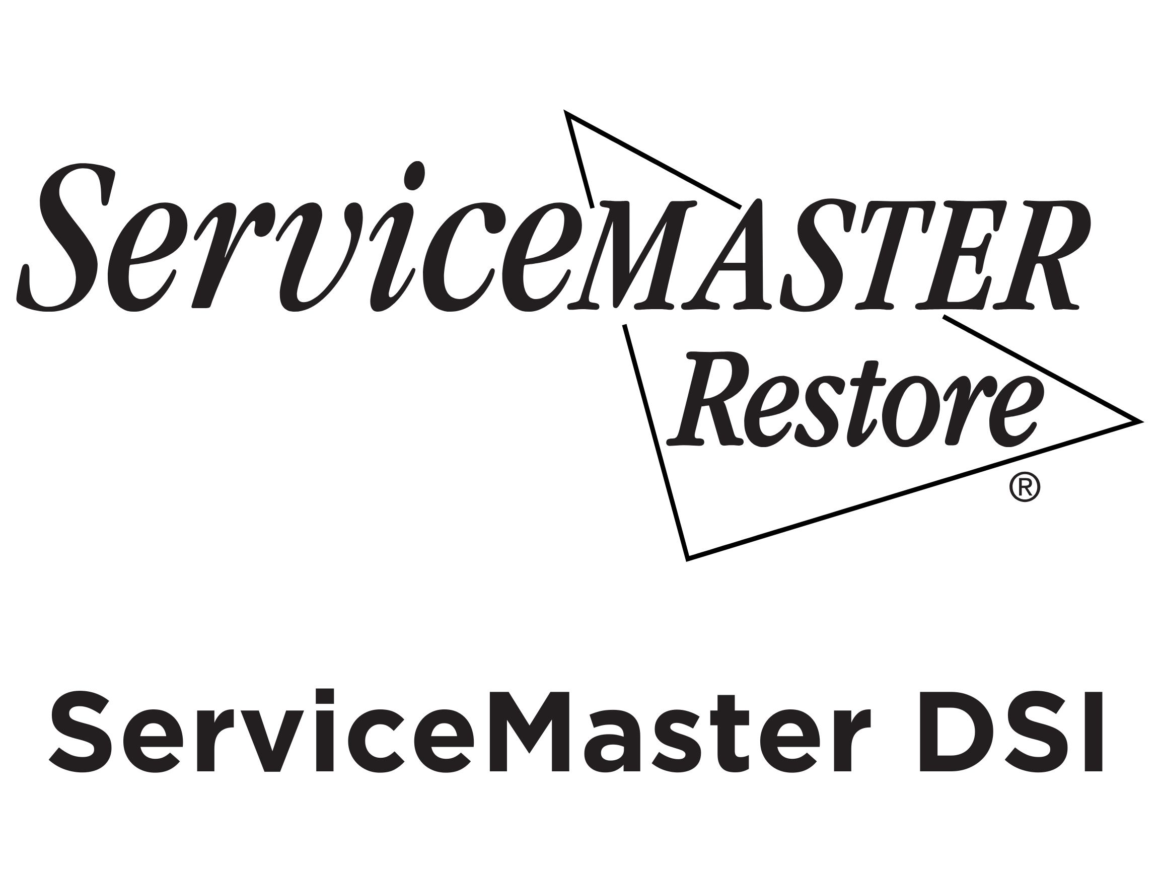 ServiceMaster DSI Logo 2025.pdf.png