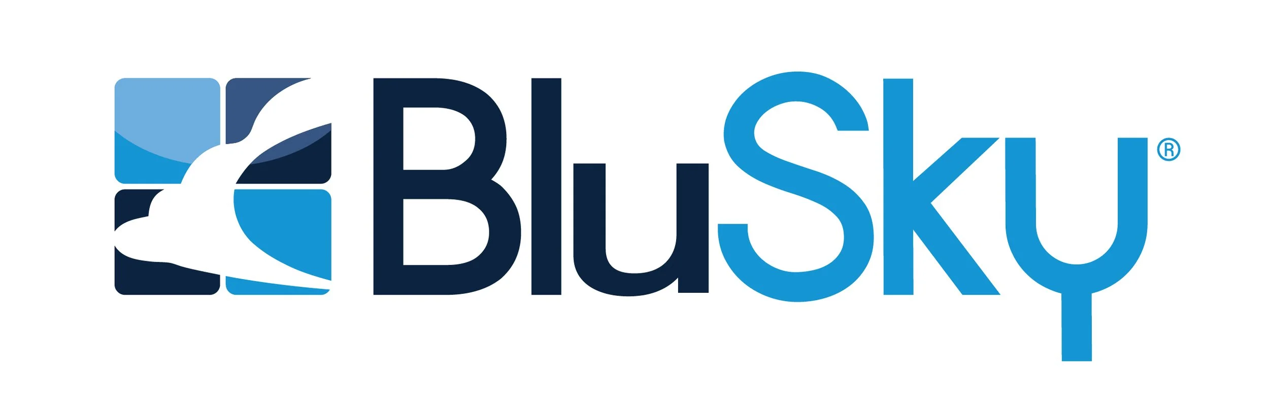BluSky Logo 2025.jpg