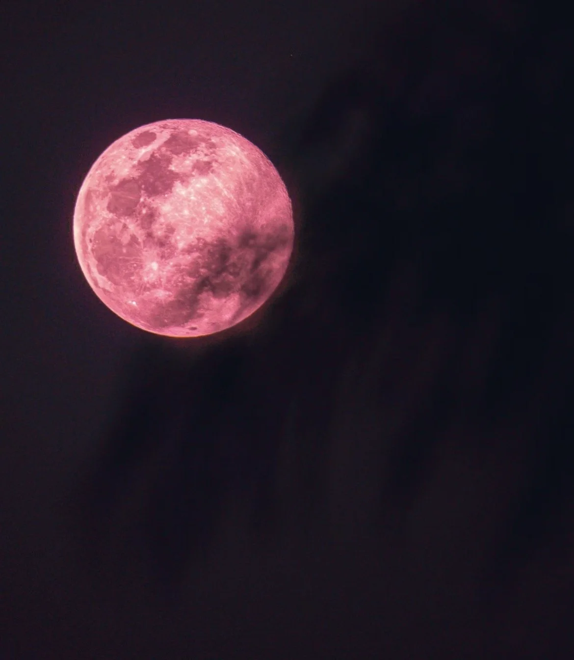 The Heart Berry Moon