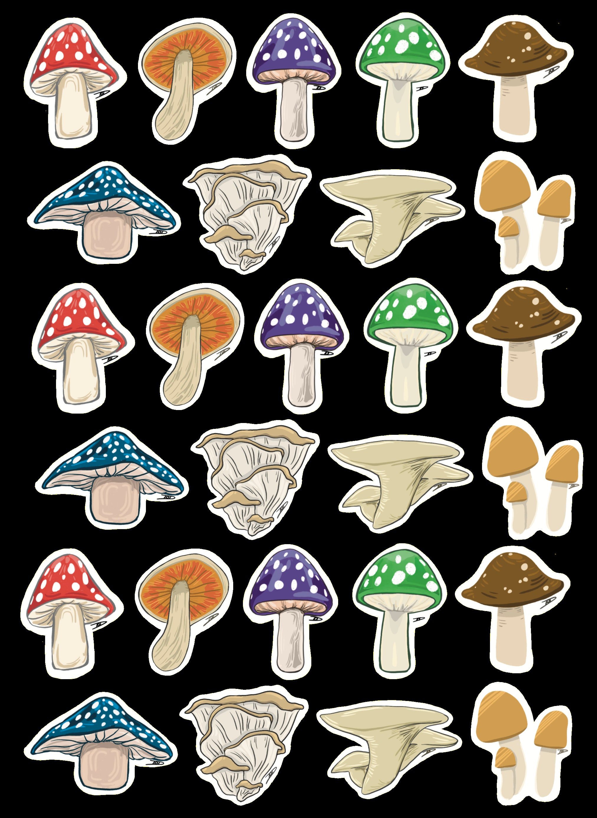 https://i.etsystatic.com/33776459/r/il/120bd1/4827783464/il_fullxfull.4827783464_piu4.jpg