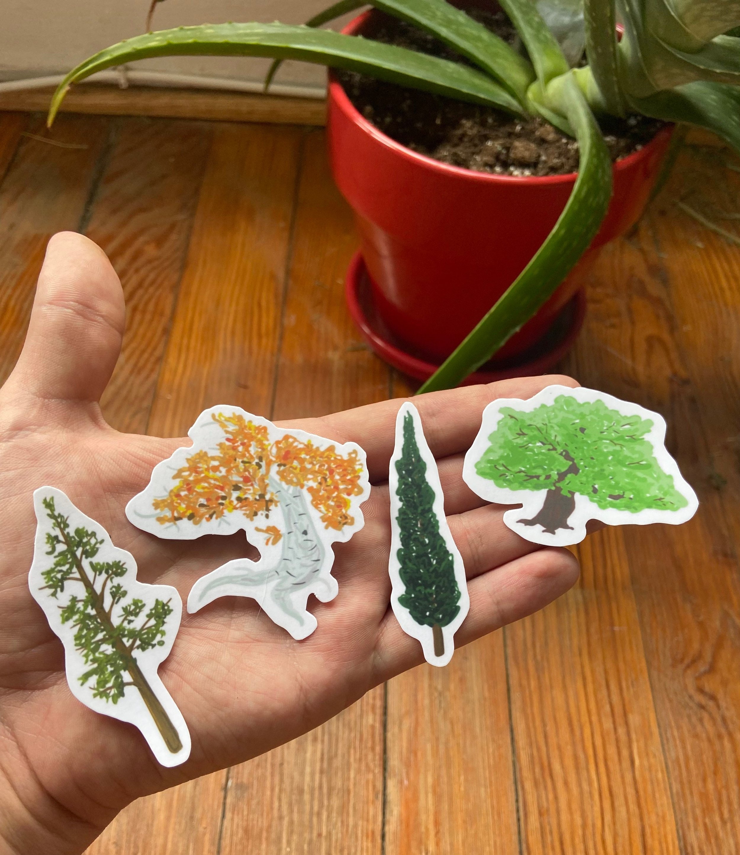 https://i.etsystatic.com/33776459/r/il/b7c178/4060949754/il_fullxfull.4060949754_b48j.jpg