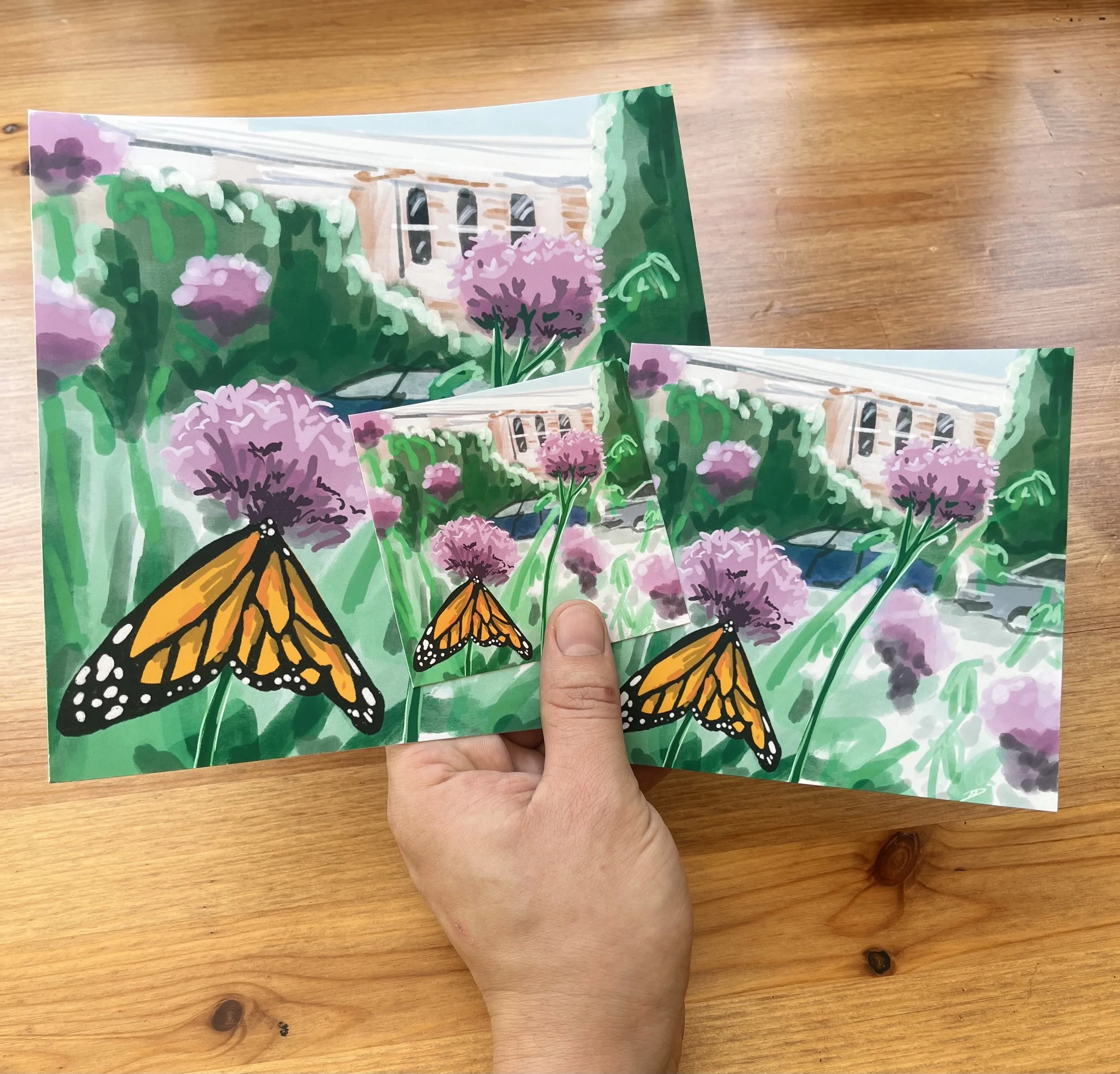 Butterfly Print