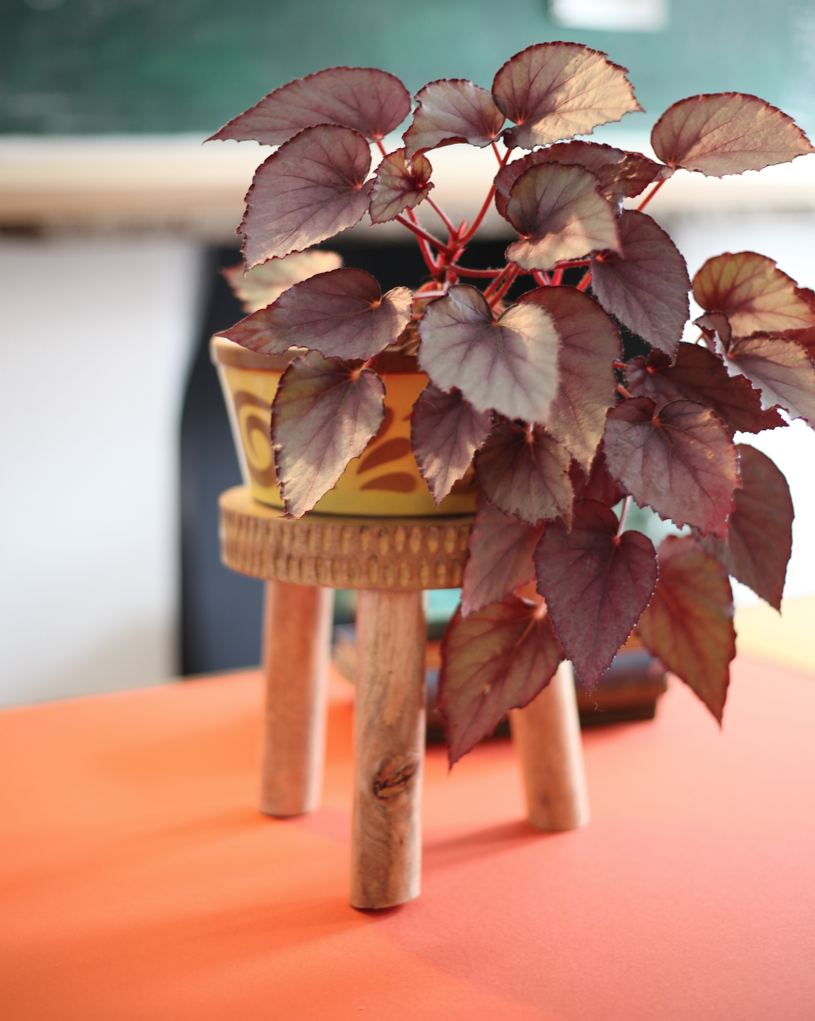 Plant pot stand, eco-friendly £15.00.png