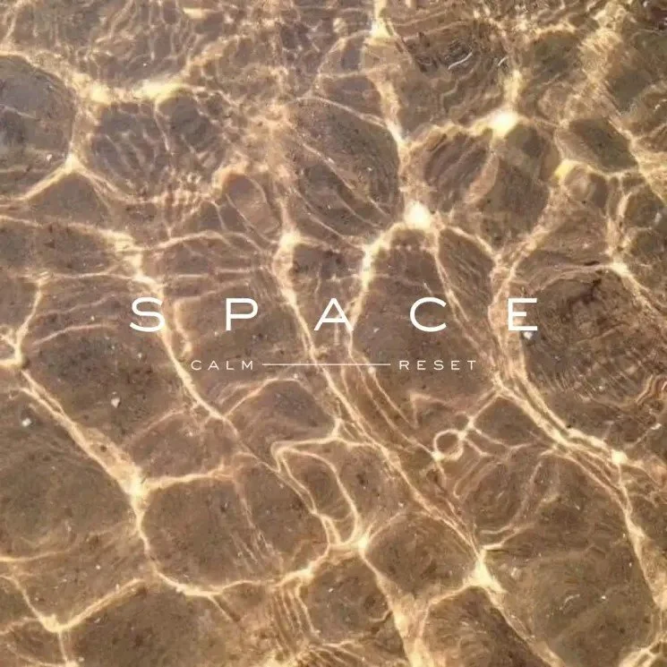 Kakaobohnen, Kakaopulver in einer Schaufel, und Kakaoschoten auf einem Holzuntergrund, mit Text "Kakao Zeremonie"