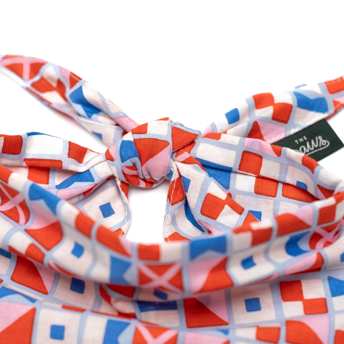 The Paws red and blue maritime dog bandana