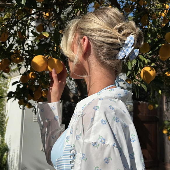 Emi Jay Sweetheart Clip Daisy Blue Picnic Vibes.png (Copy)