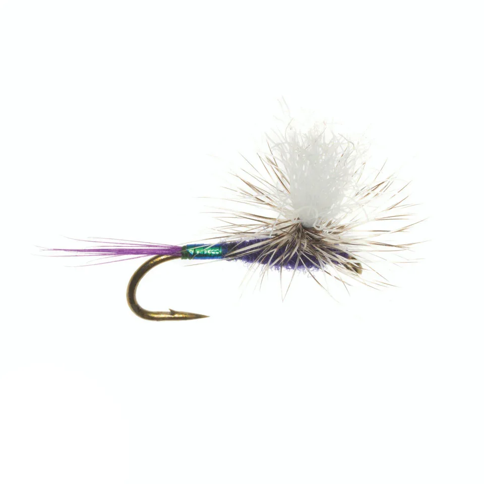 Mini-Hot-Mayfly-Purple__50019_1445x.webp