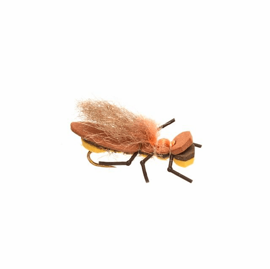 burkus-bearback-rider-stone-fly-22.png