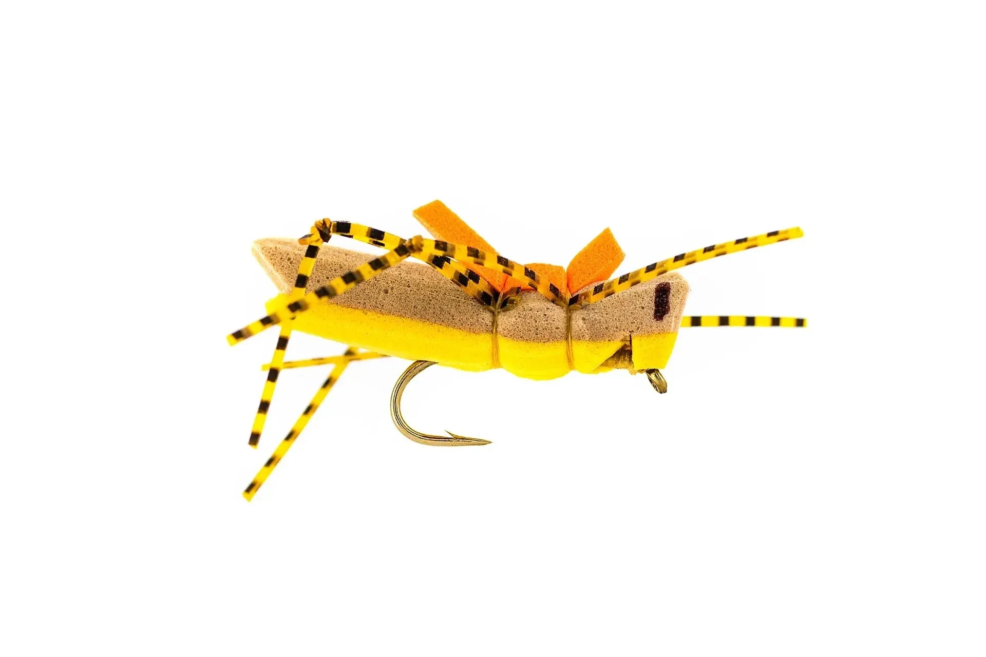 RIO_MORRISHHOPPER_GOLDEN_5000x.jpeg