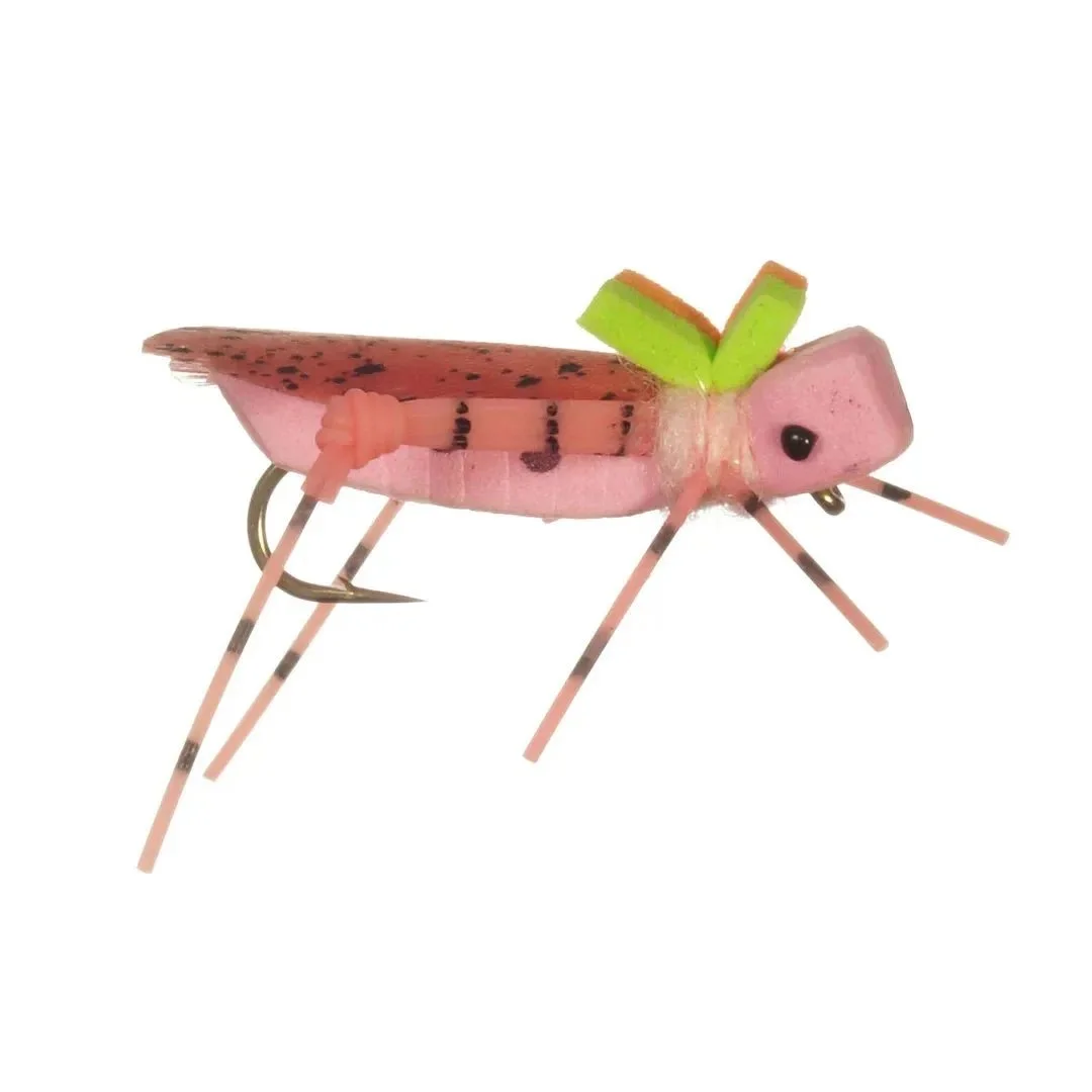 pink.jpeg