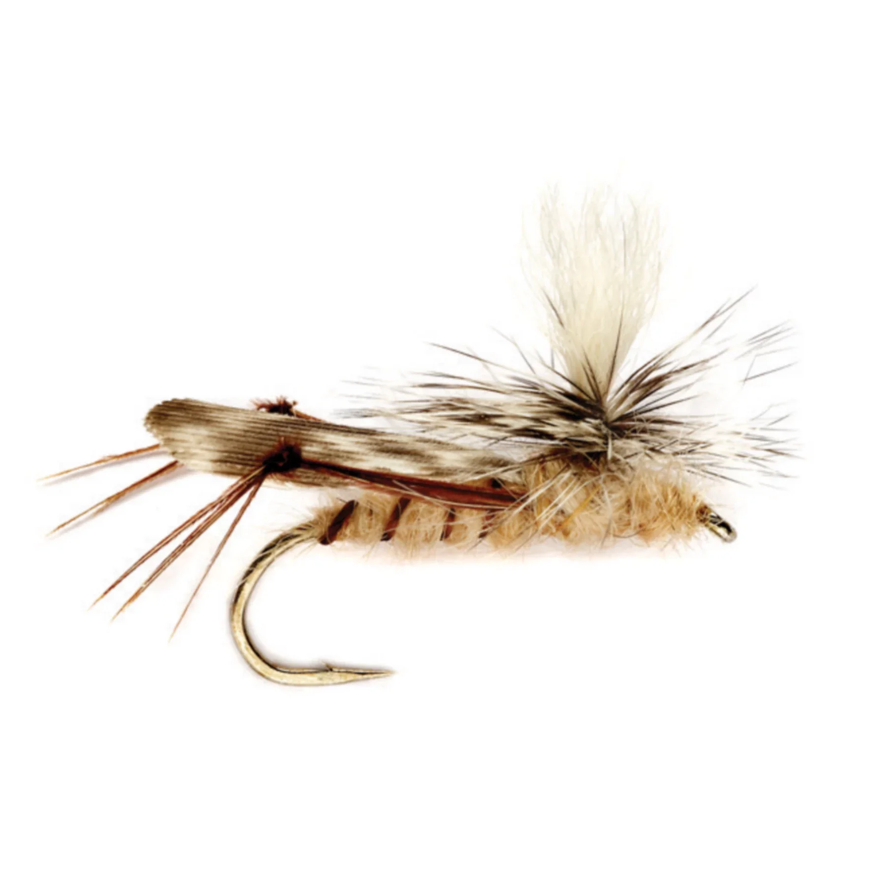 017K009W_.webp
