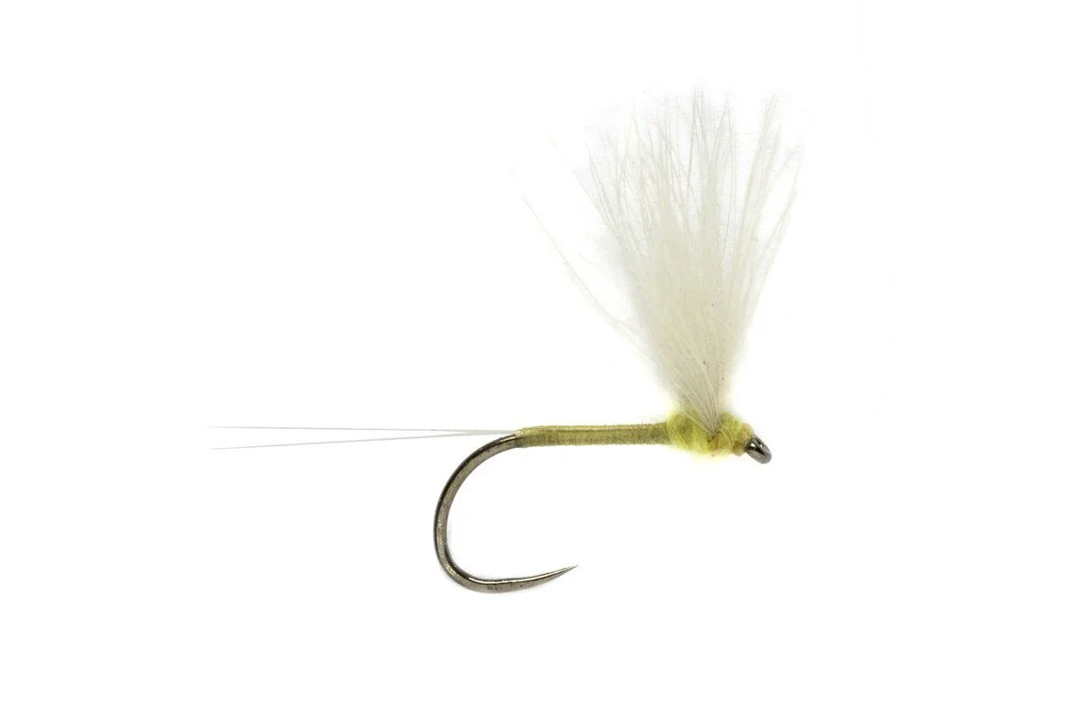 Weiss CDC Sulphur - 3 Pack