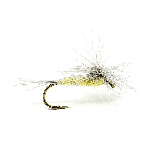 PMD-Parachute_4557d171-ac08-4a05-a290-964ed6f58a28.webp