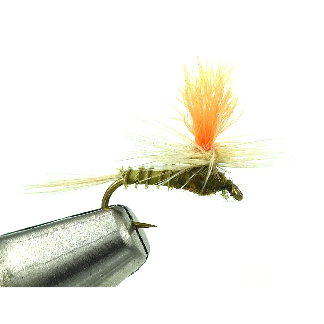cd0b0dbb253921ec644018756ef5834b5d570def_1080x.webp
