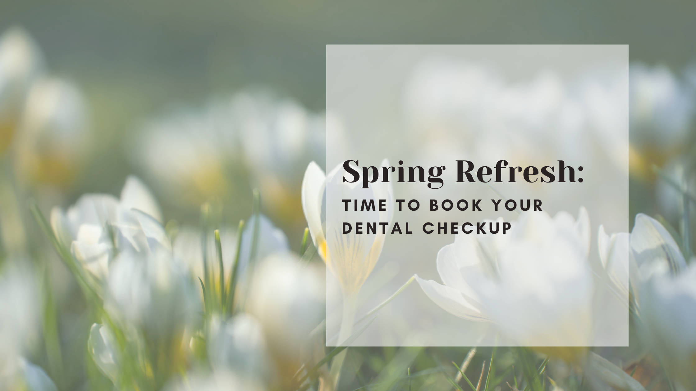 Spring Refresh: Time to Book Your Dental Checkup