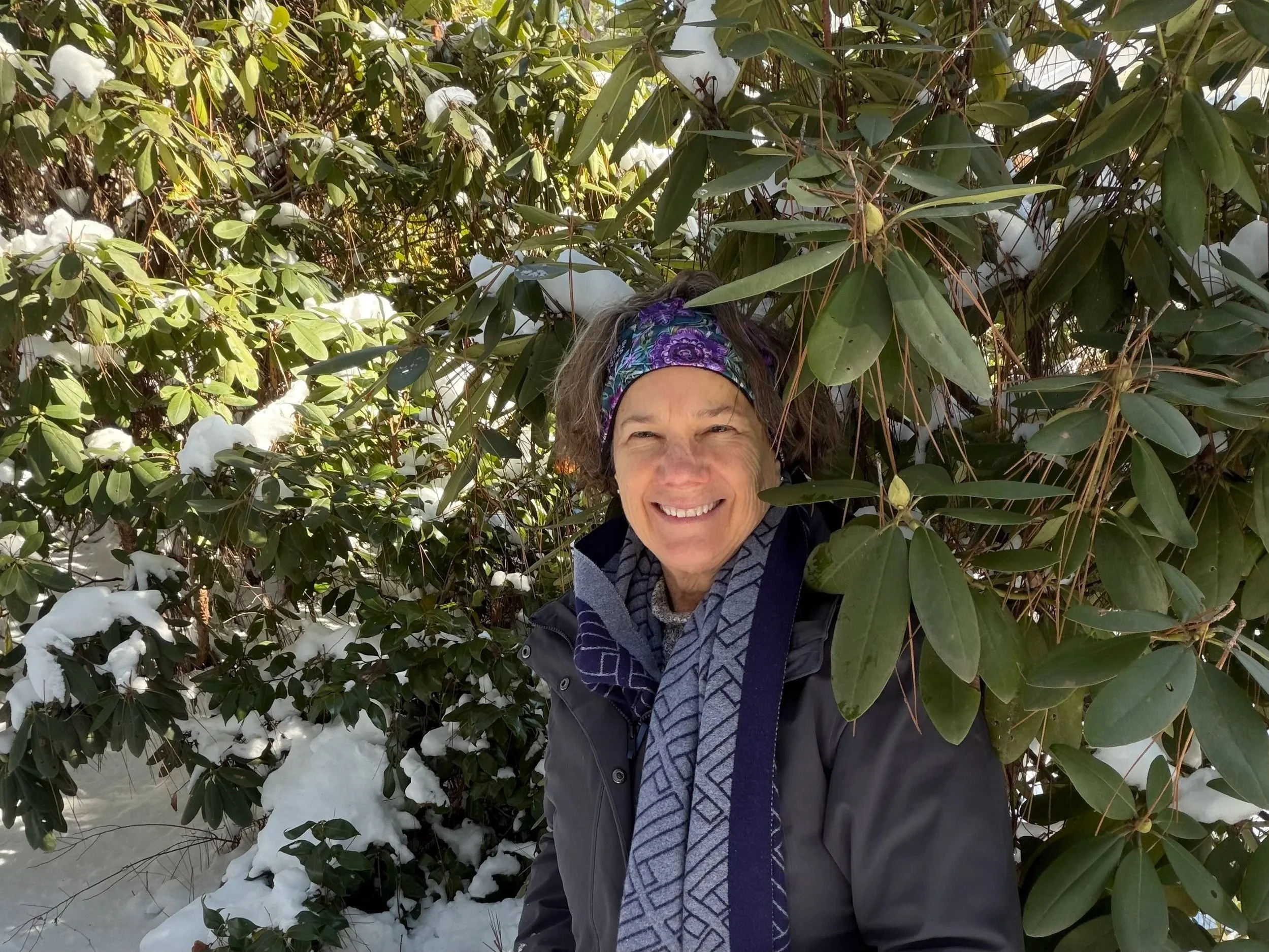 What Happens During a Past Life Journey?