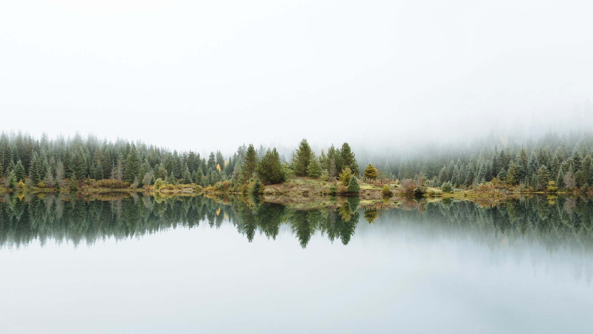 A calm lake surrounded by dense pine trees with a misty sky overhead, reflecting the scenery in the water.