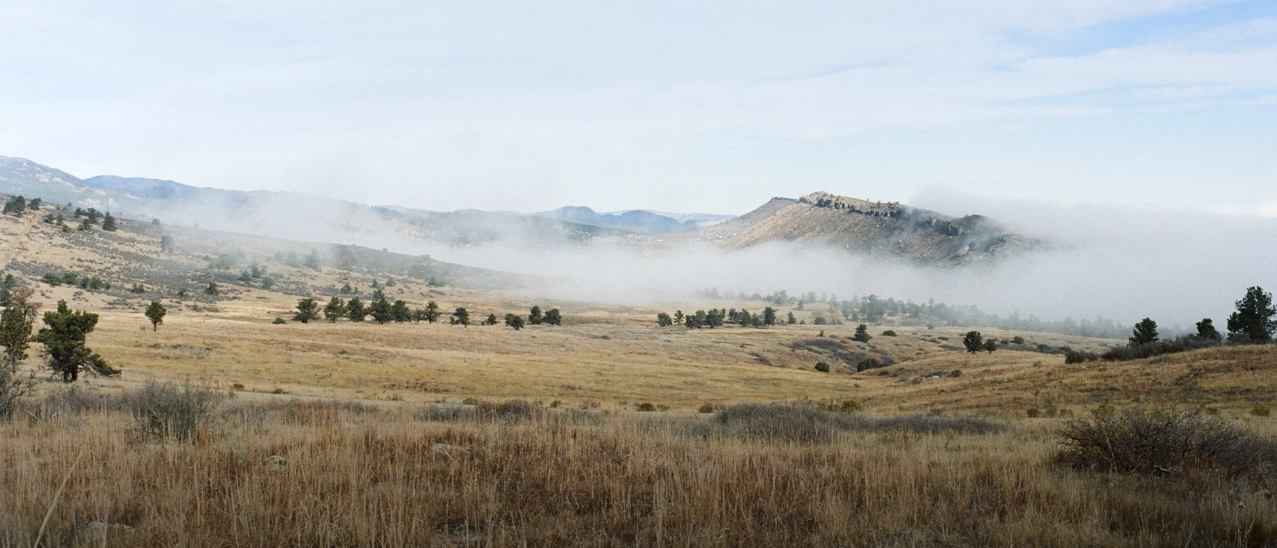 Misty landscape with rolling hills, sparse trees, and low-lying fog.