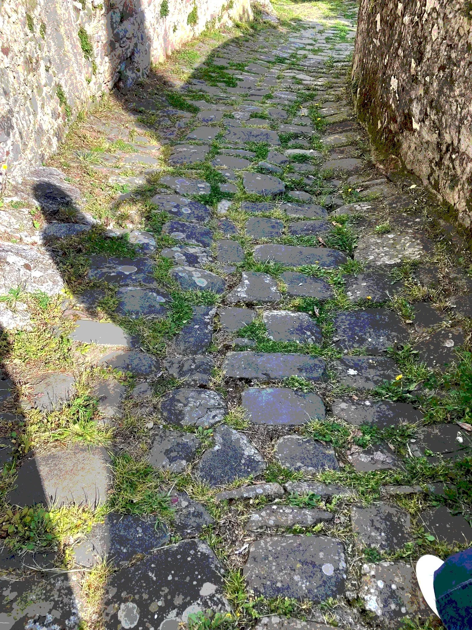 #29Riflessi_oni - Da Lucignana a Vico Pancellorum: un viaggio tra libri, arte e piccoli incanti